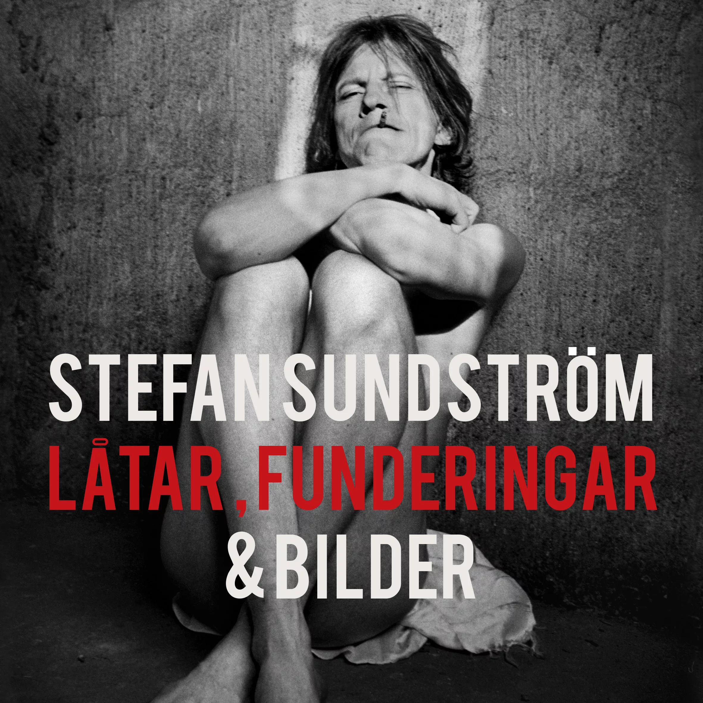 Stefan Sundström: Låtar, Funderingar & Bilder - Stefan Sundström 