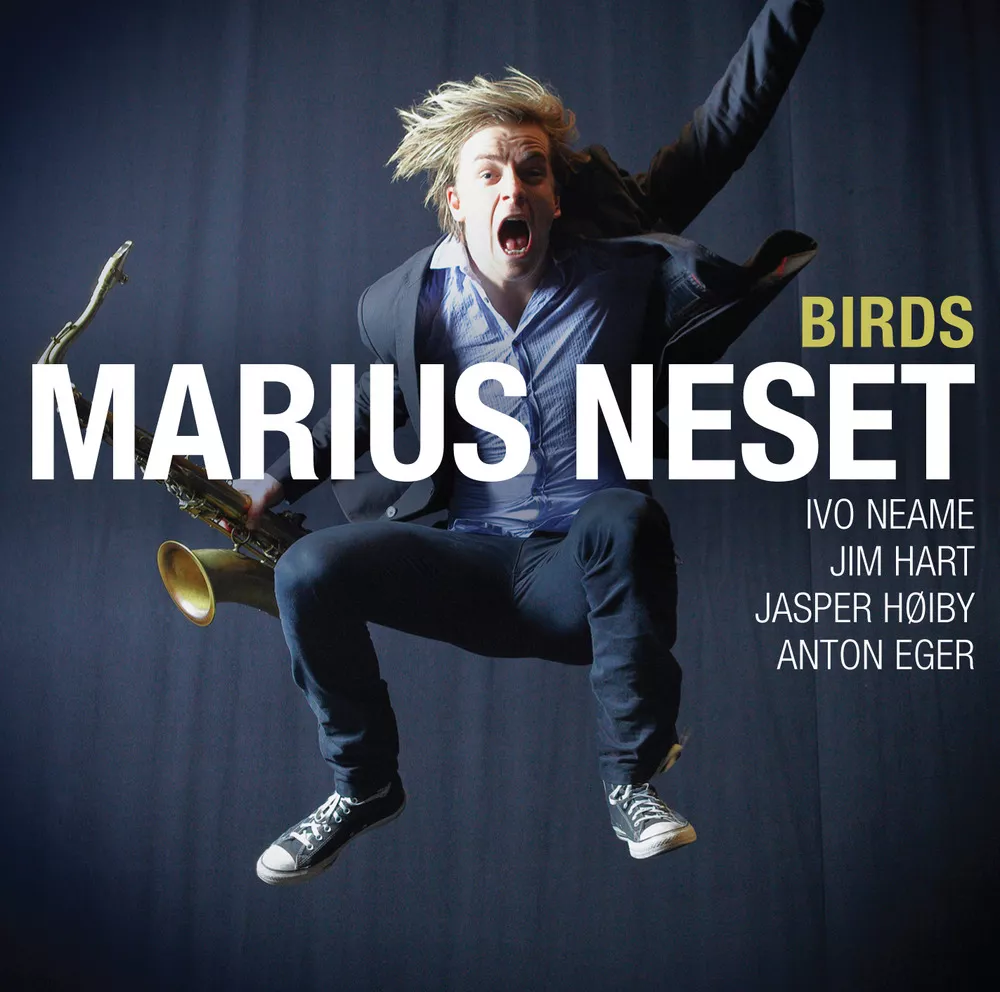 Birds - Marius Neset