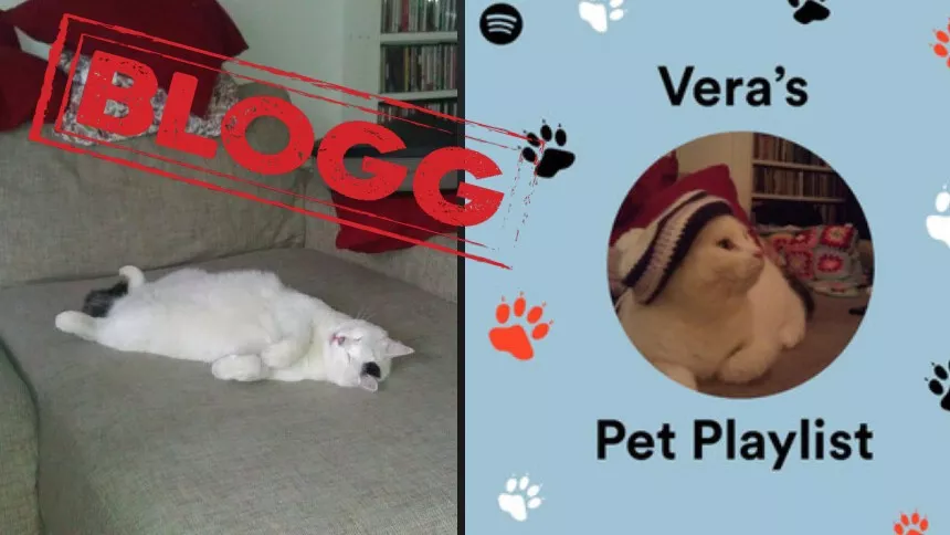 Spotify skapar skräddarsydda spellistor för husdjur – men vem bryr sig?