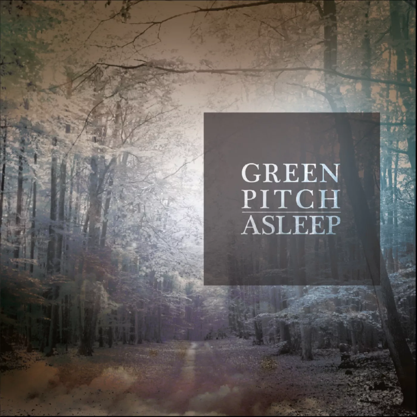 Asleep - Green Pitch