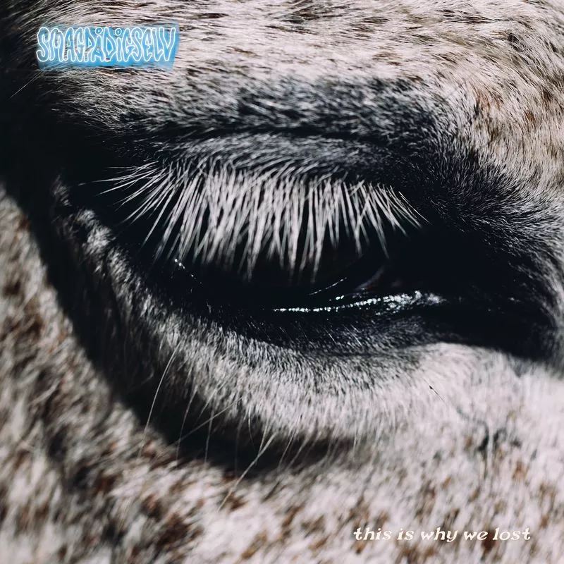 This Is Why We Lost - Smag På Dig Selv