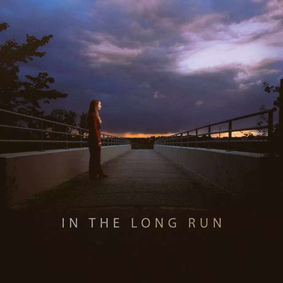 In the Long Run - Vingard