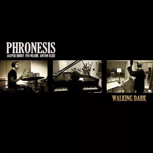 Walking Dark - Phronesis
