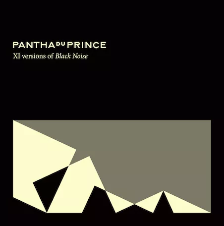 XI Versions Of Black Noise - Pantha Du Prince