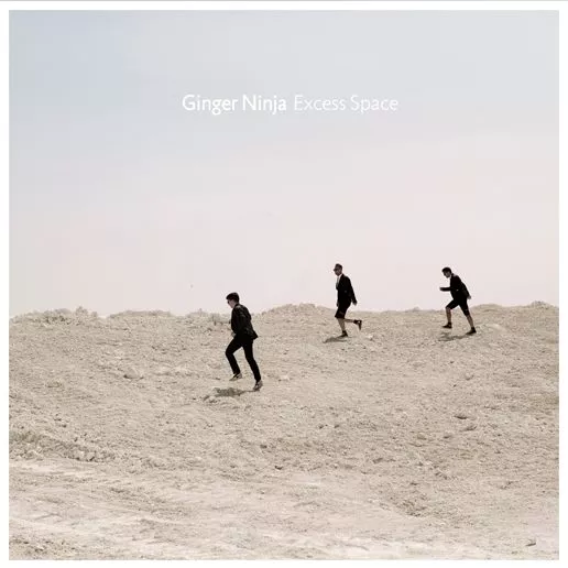 Excess Space - Ginger Ninja
