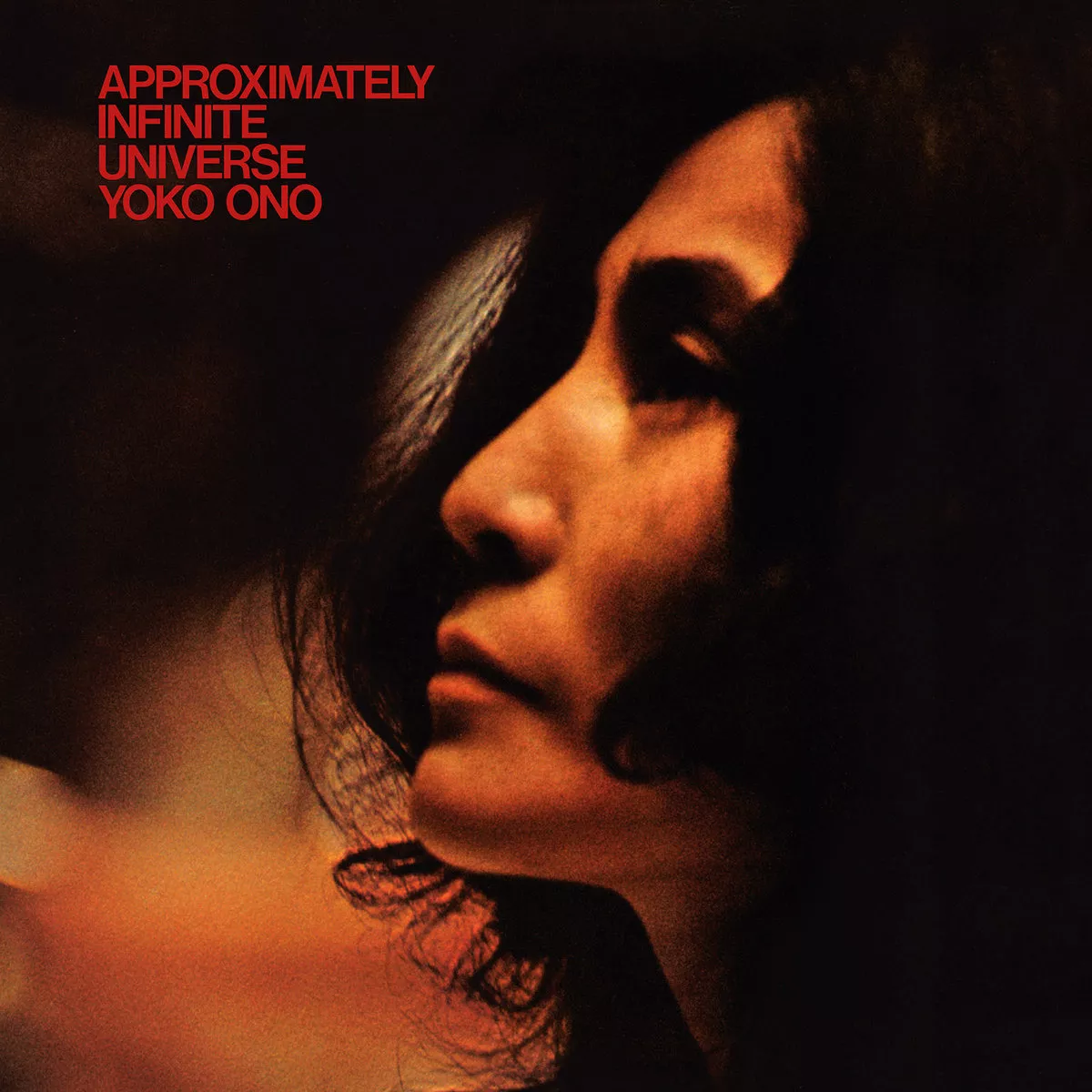 Approximately Infinite Universe  - Yoko Ono