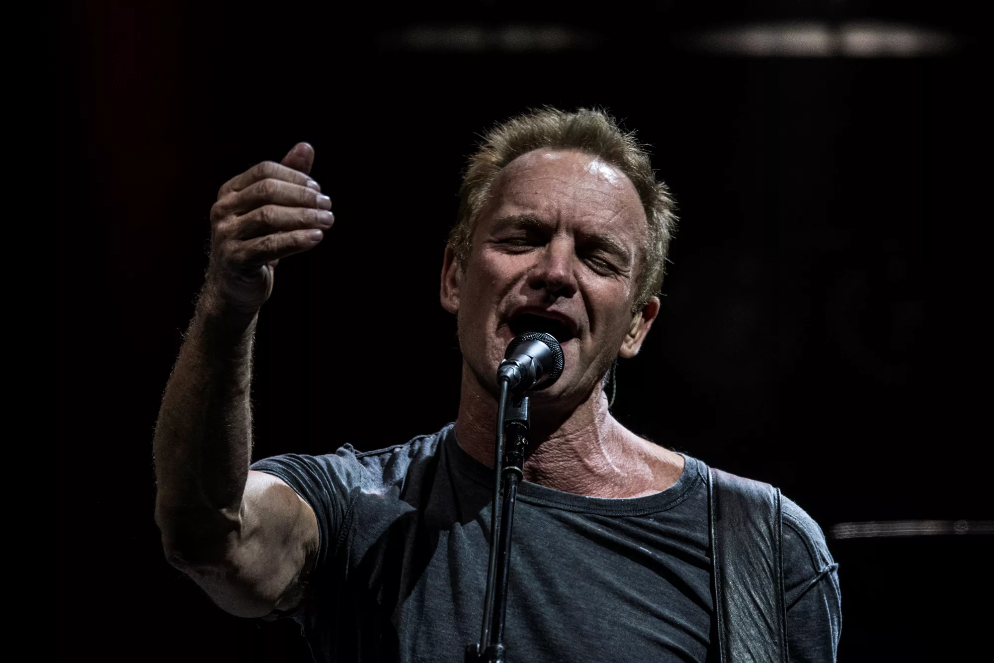 Efter Stings miljondonation – projektet intar svensk festival
