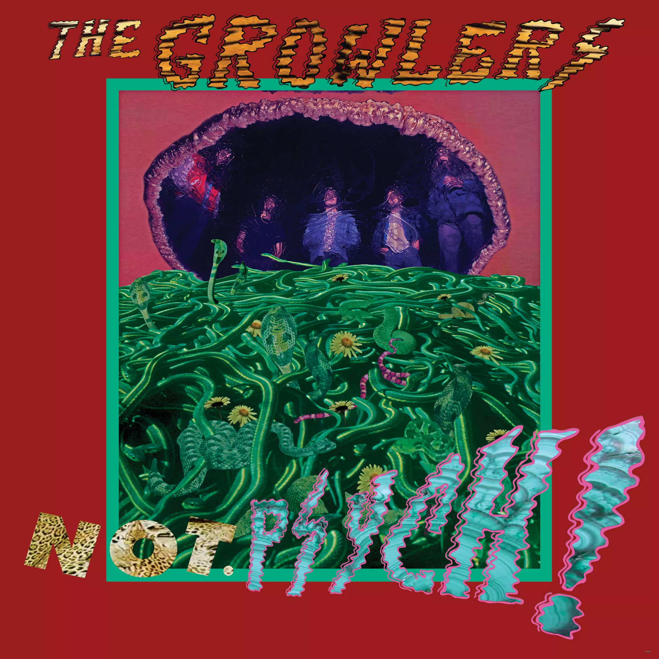Not. Psych! - The Growlers
