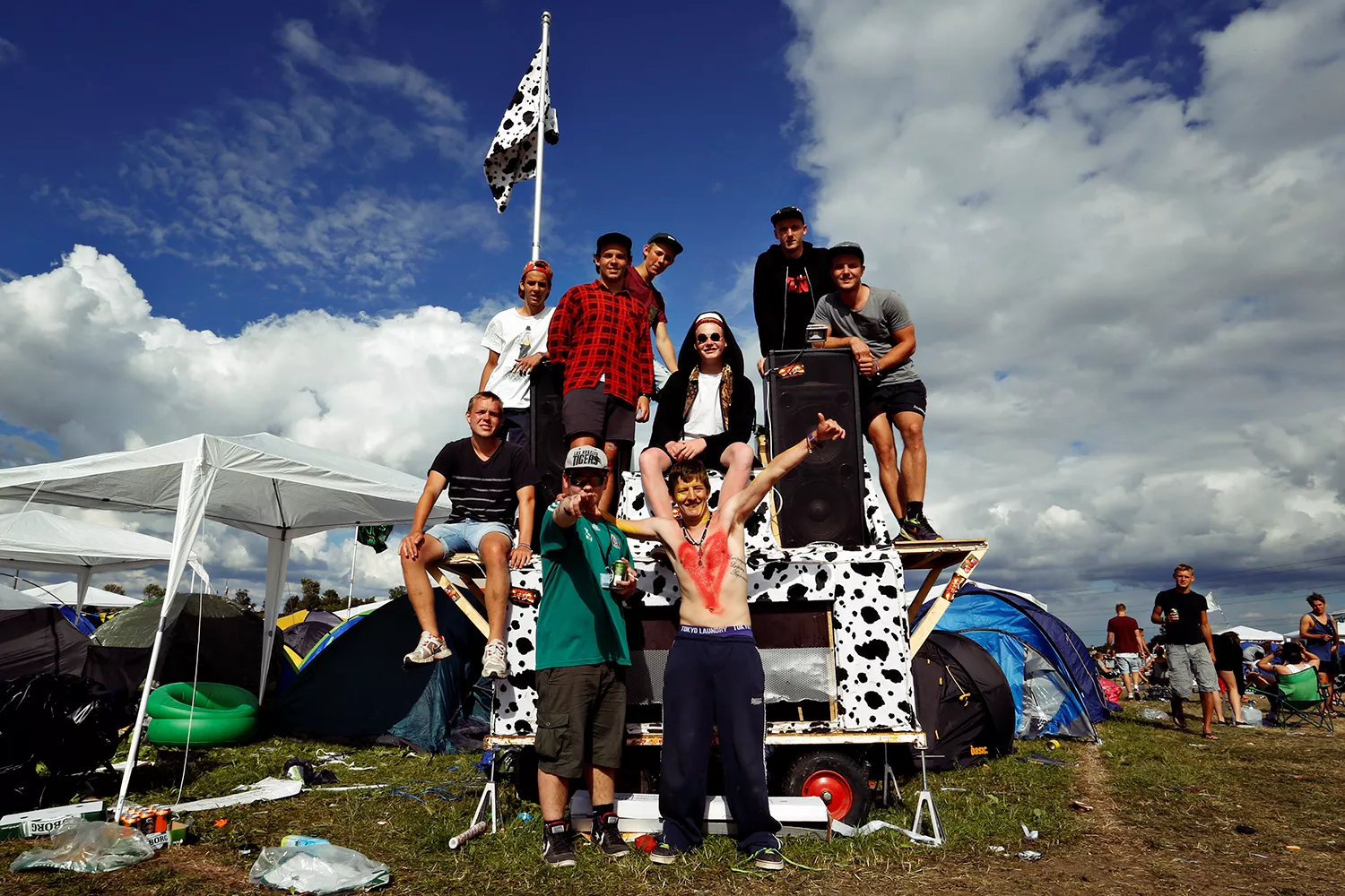 Dagens Camp på Roskilde Festival: Køer på græs