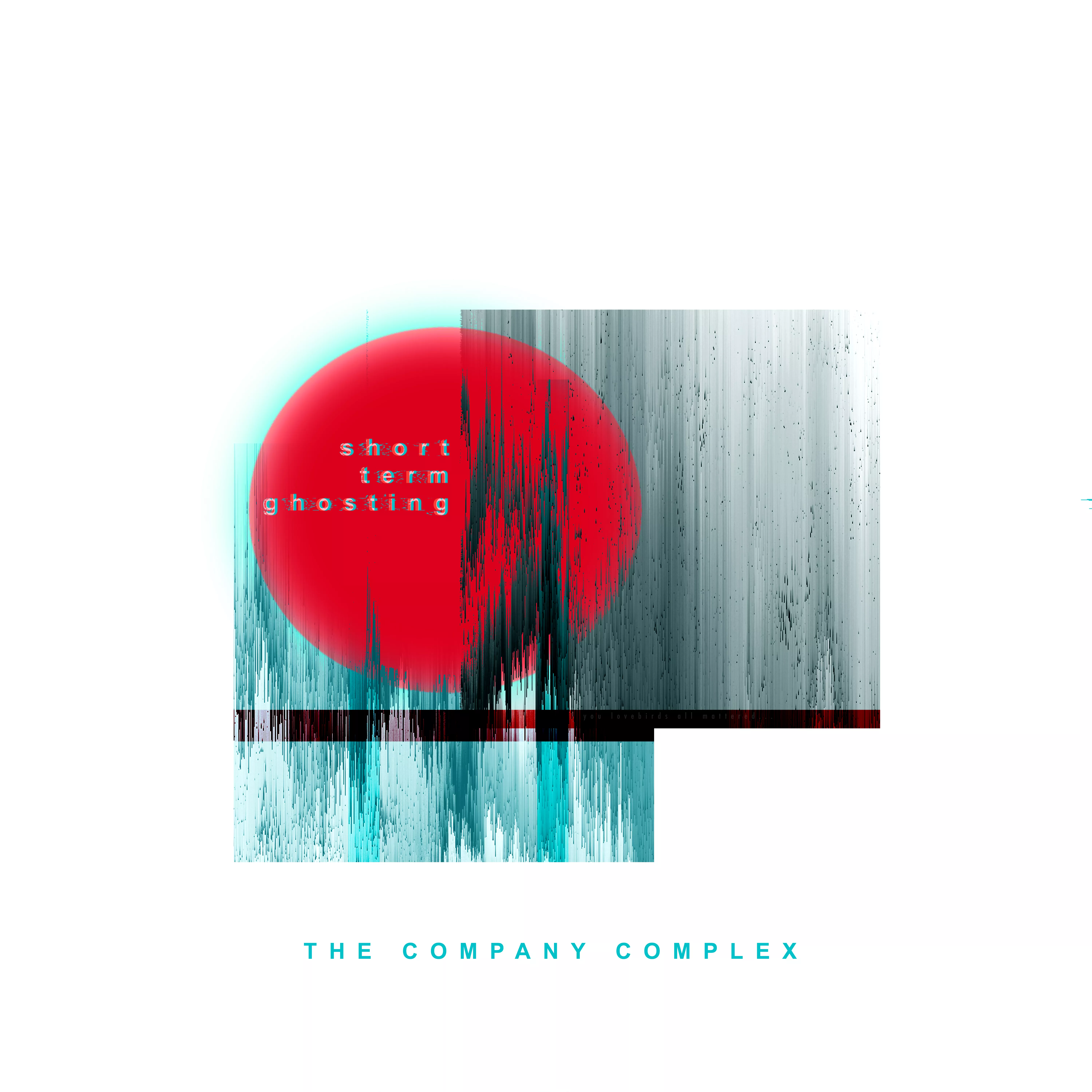 Short Term Ghosting - The Company Complex