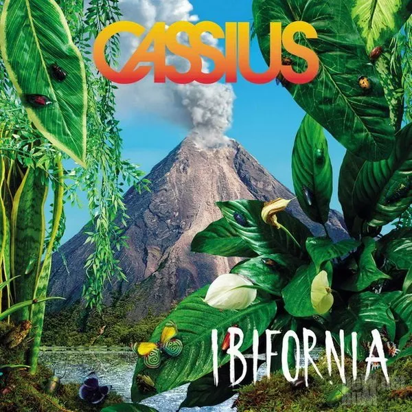 Ibifornia - Cassius