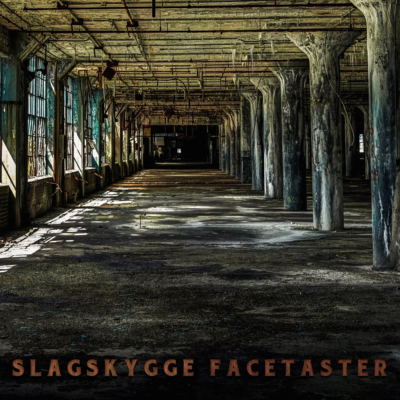 Facetaster - Slagskygge