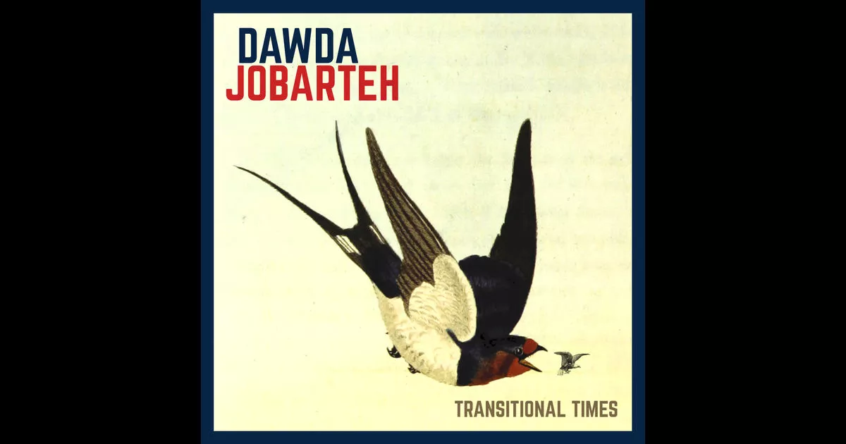 Transitional Times - Dawda Jobarteh
