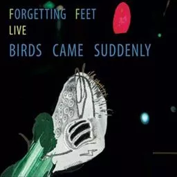 Live - Birds Came Suddenly - Forgetting Feet