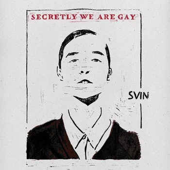 Secretly We Are Gay - Svin