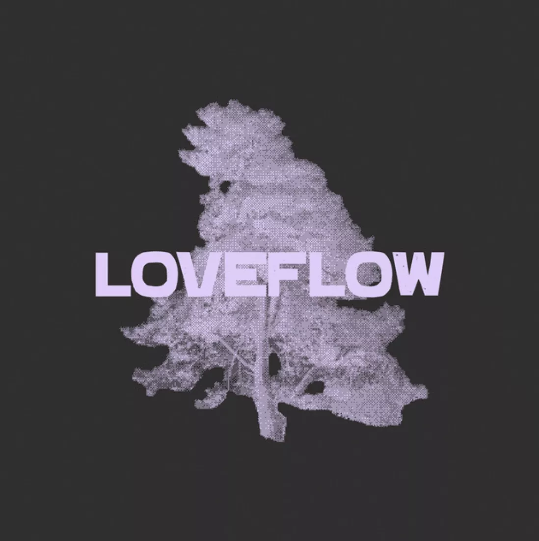 Loveflow - Saveus