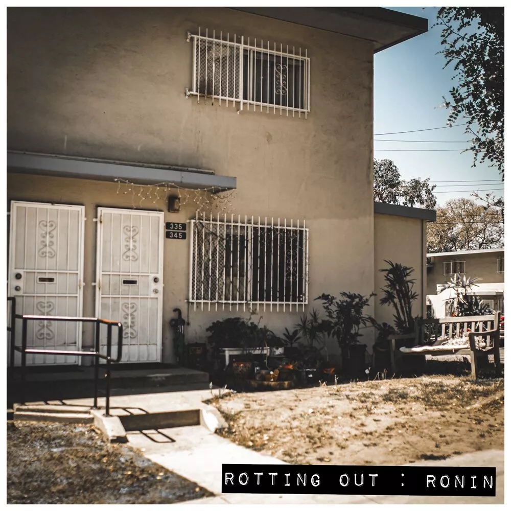 Ronin - Rotting Out