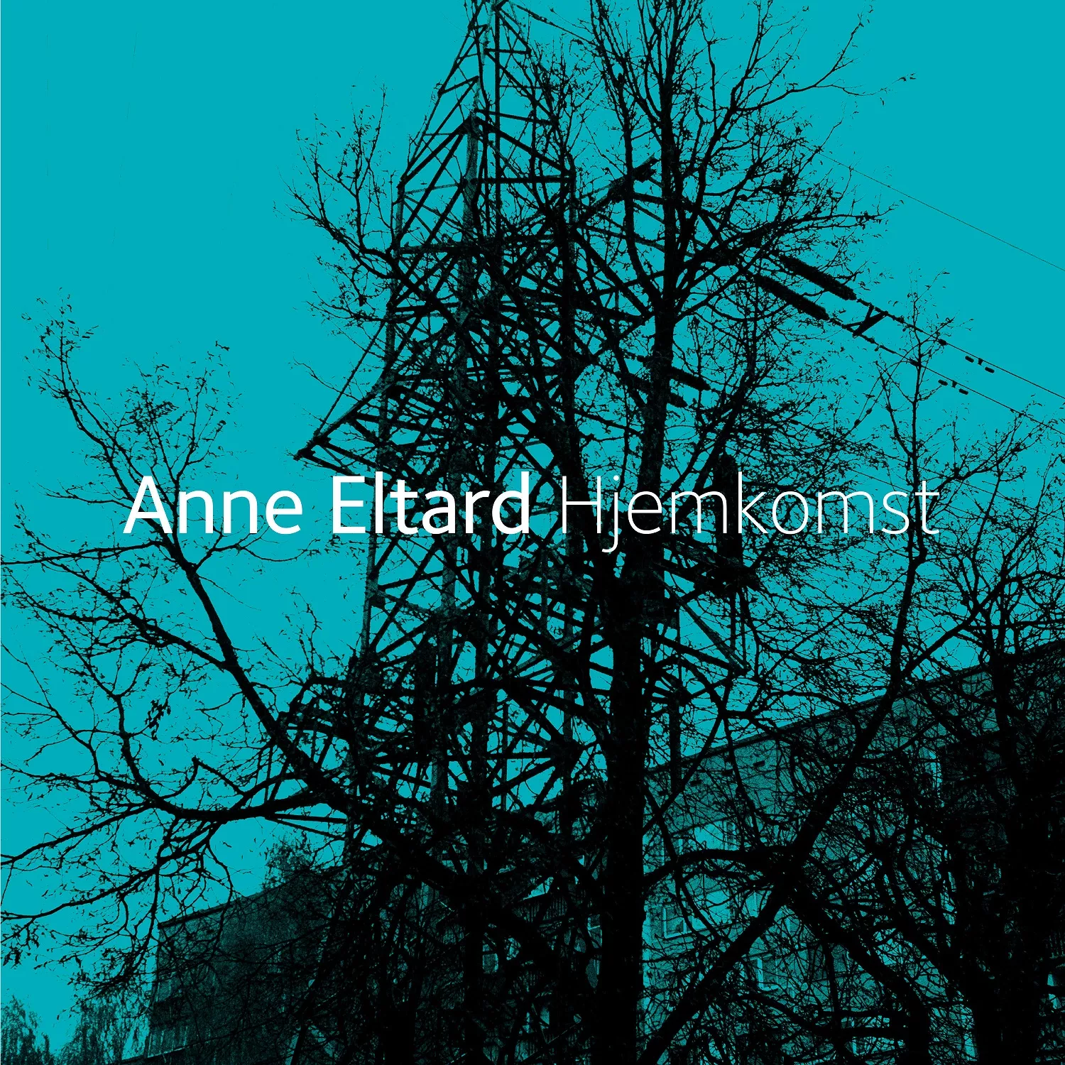 Hjemkomst - Anne Eltard