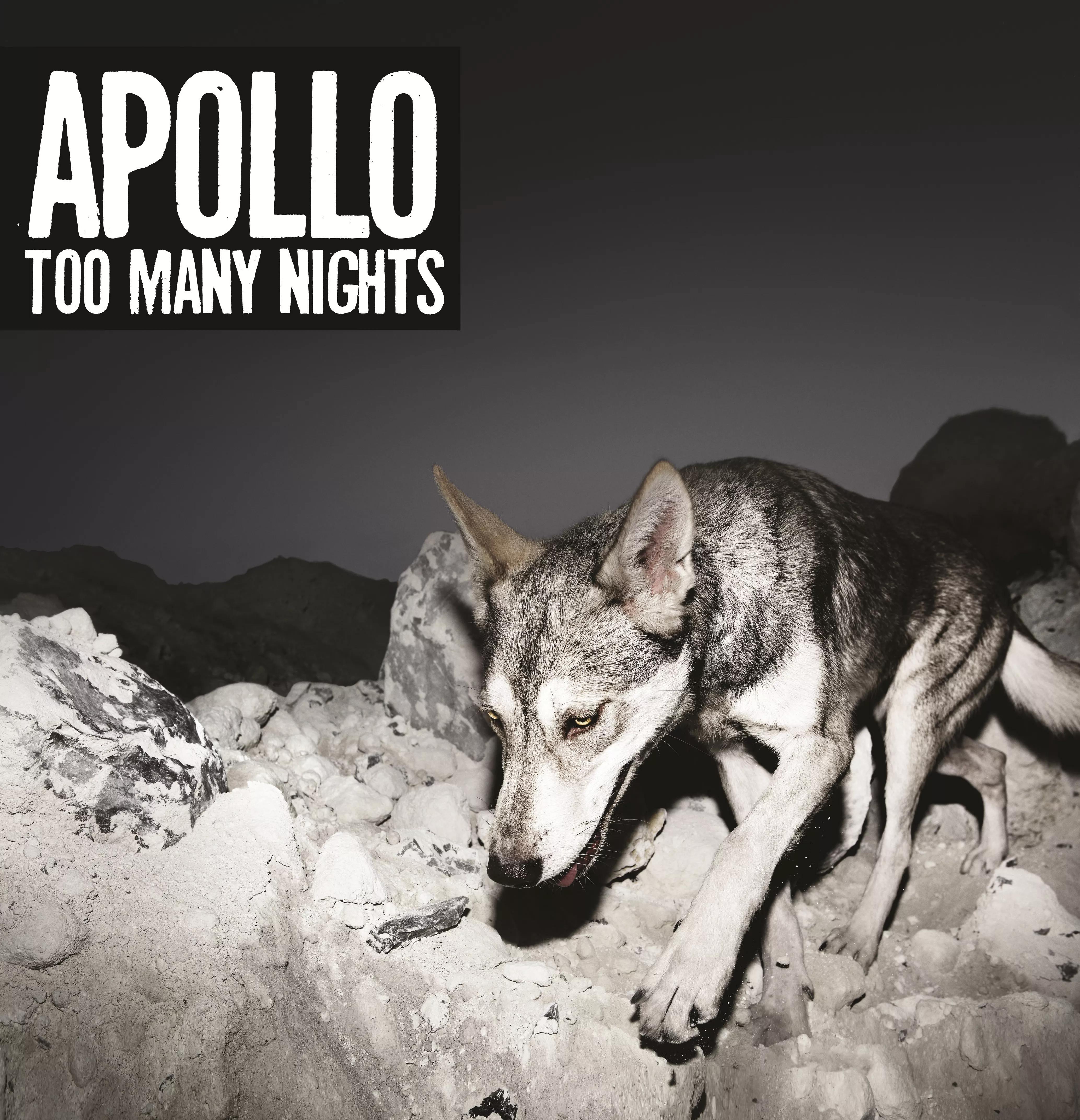 Too Many Nights - Apollo