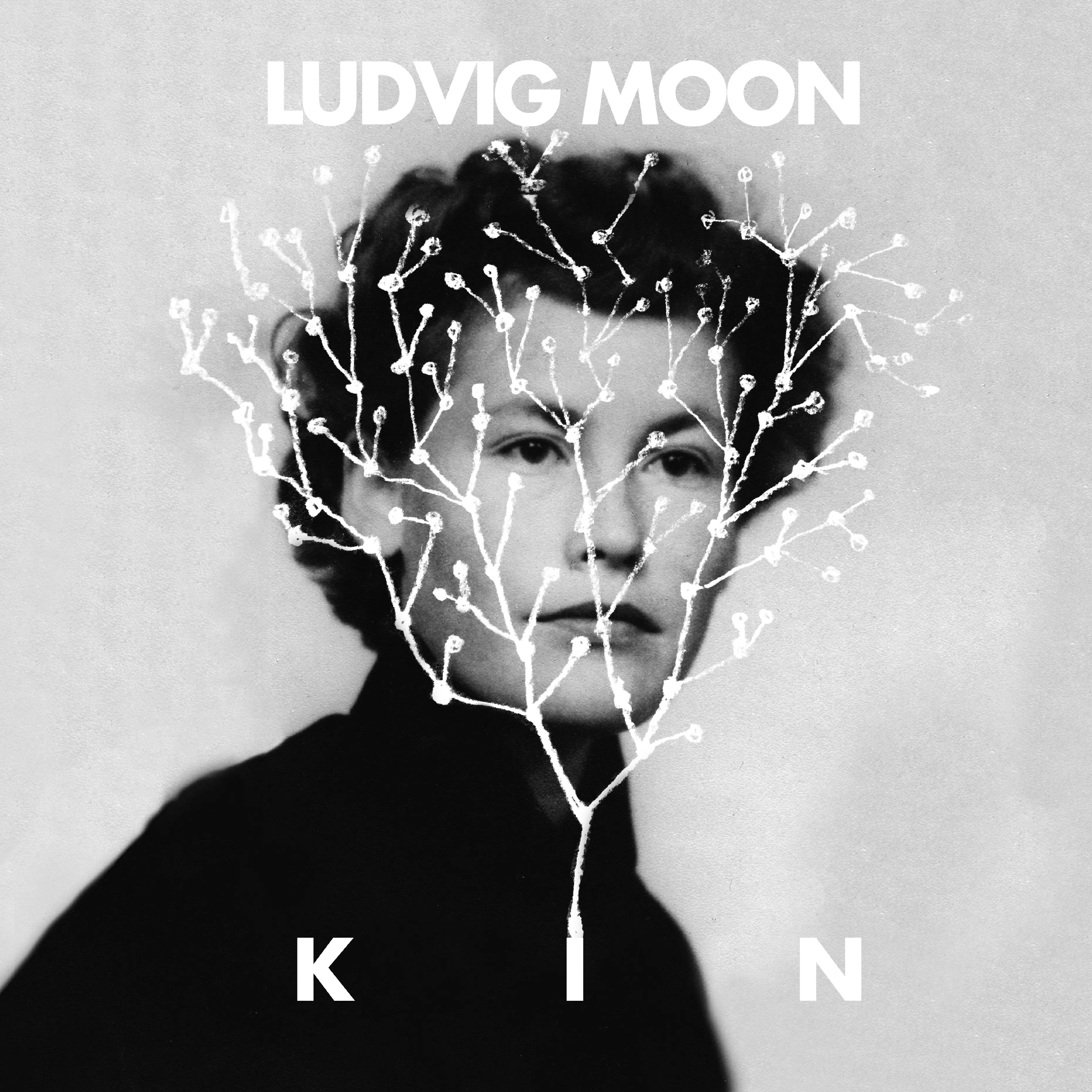Kin - Ludvig Moon