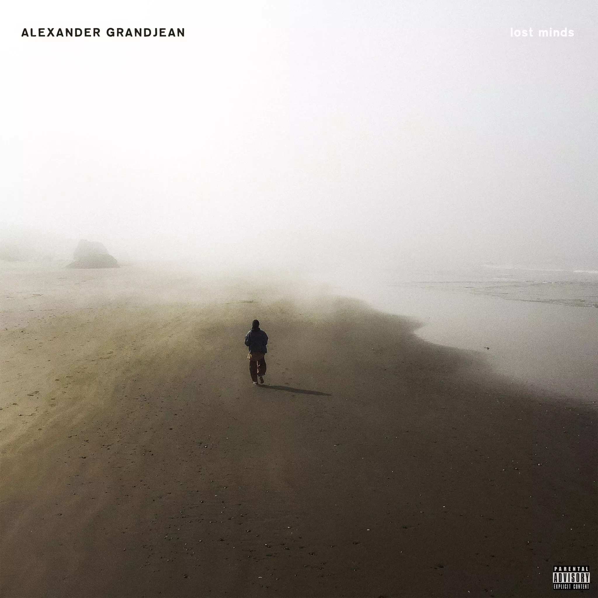 Lost Minds - Alexander Grandjean