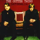 The Gutter Twins til Danmark