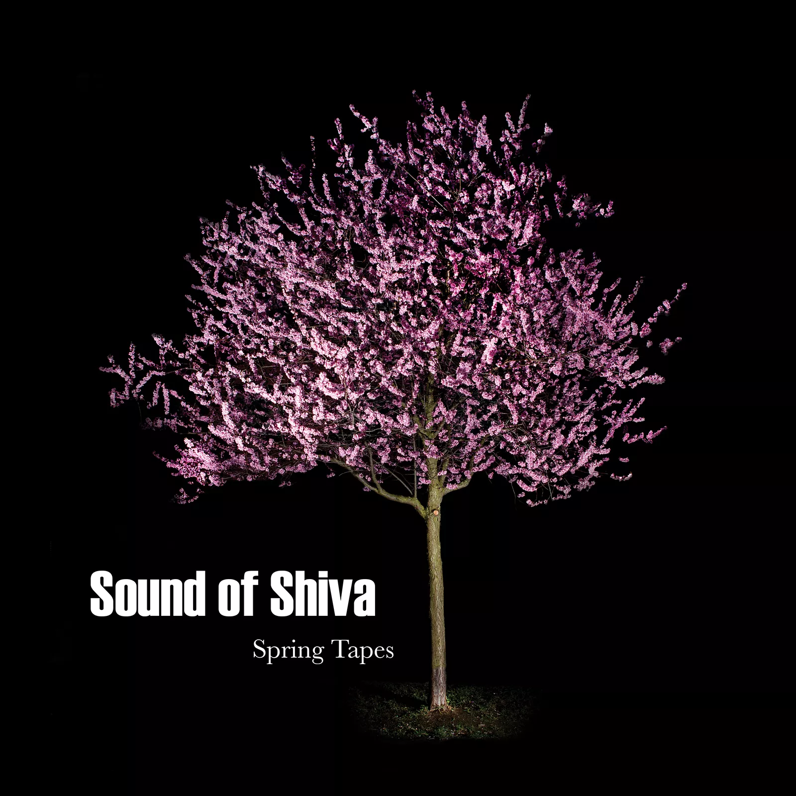 Spring Tapes - Sound of Shiva
