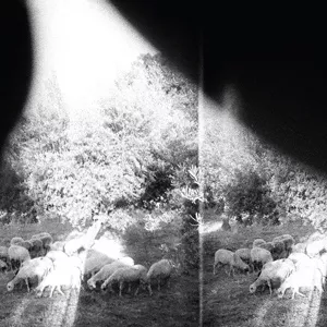 Asunder, Sweet and Other Distress - Godspeed You! Black Emperor