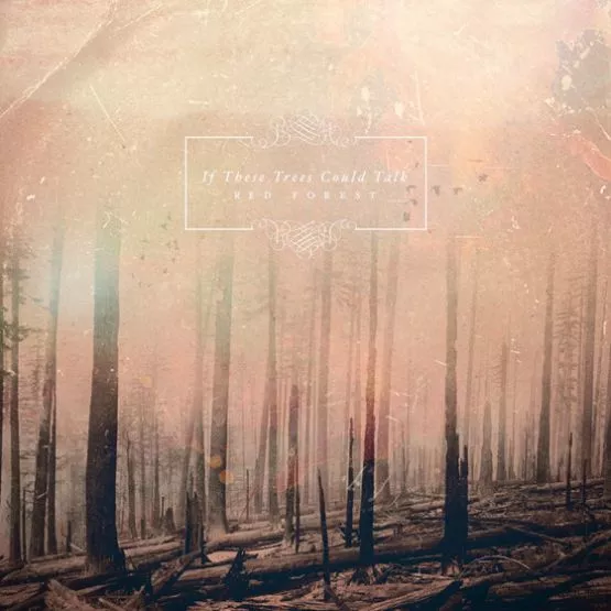 Red Forest - If These Trees Could Talk