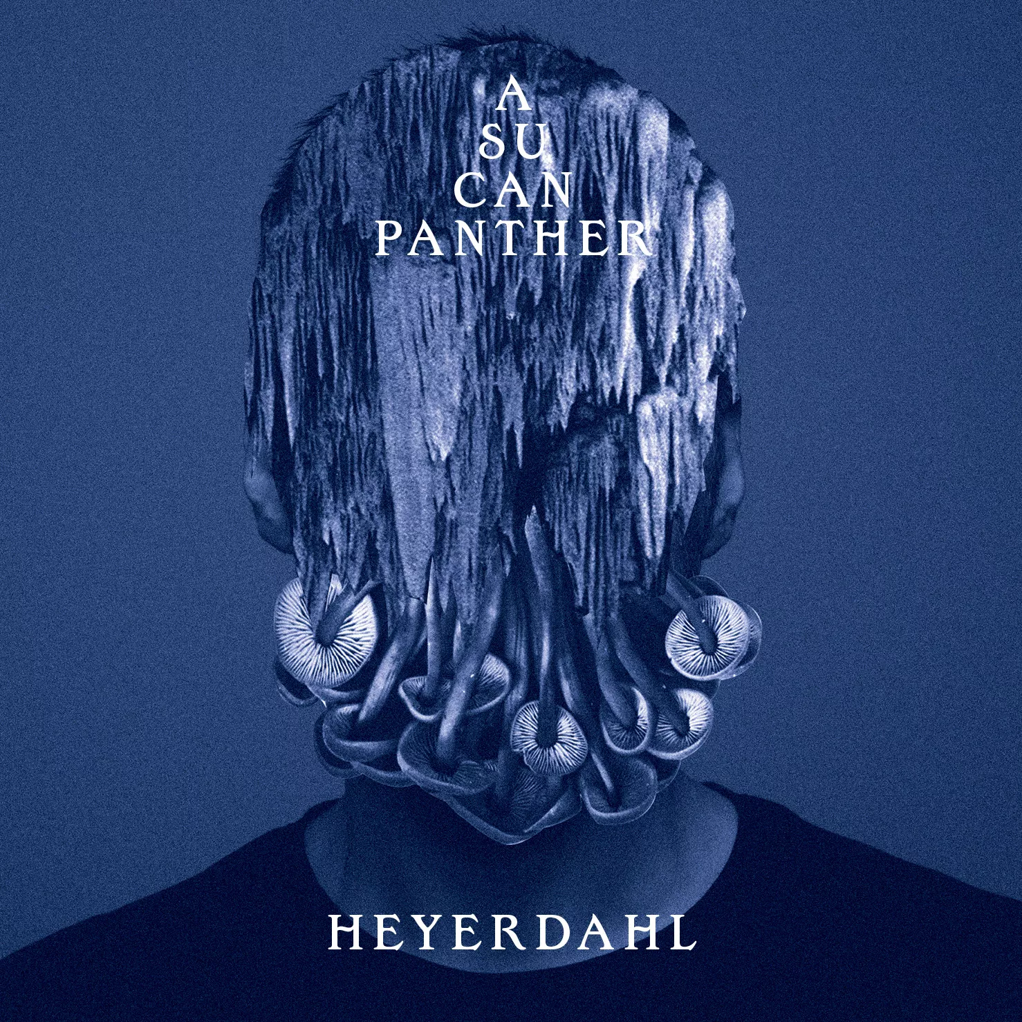 A Su Can Panther - Heyerdahl