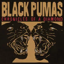 Chronicles of a Diamond  - Black Pumas