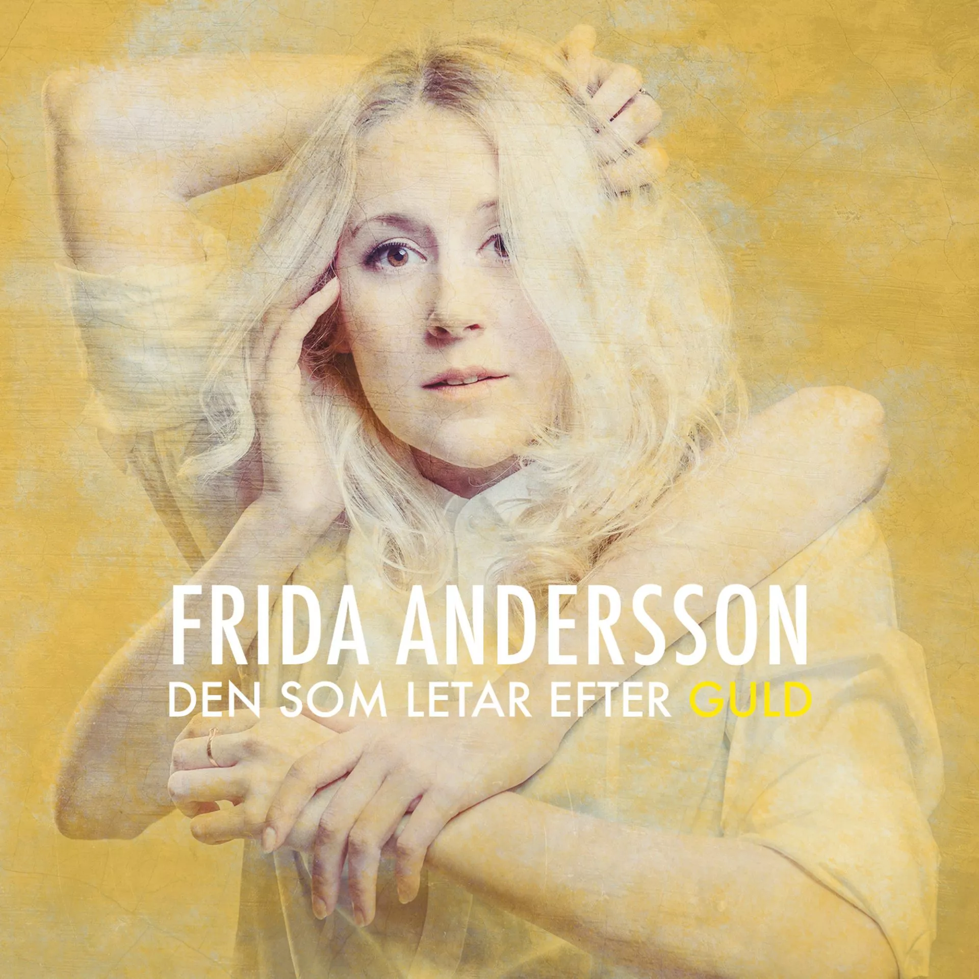 Den Som Letar Efter Guld - Frida Andersson