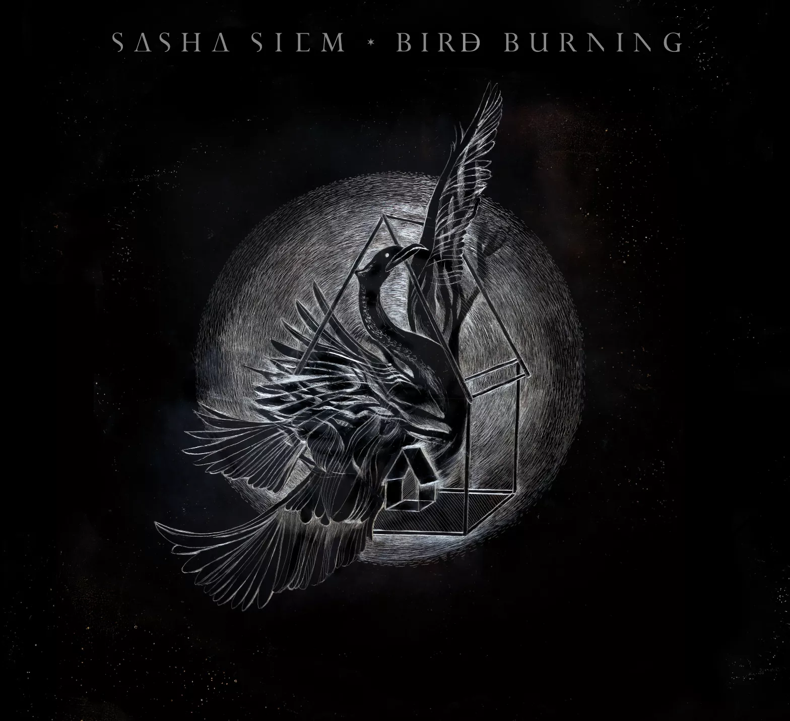 Bird Burning - Sasha Siem