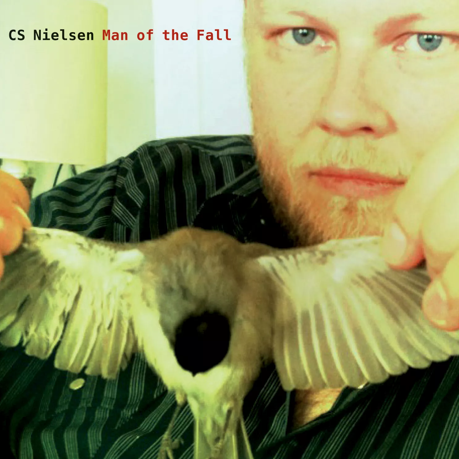 Man Of The Fall - CS Nielsen
