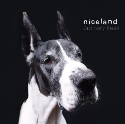 Ordinary Freak - Niceland