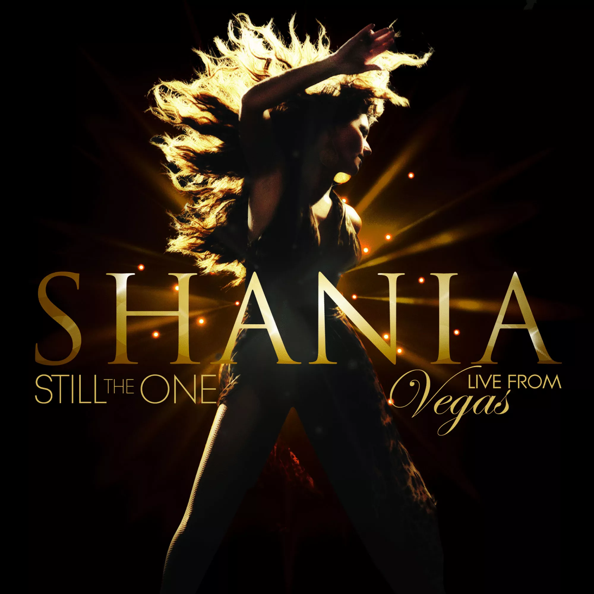 Still the One - Live from Vegas - Shania Twain