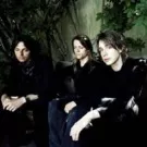 Mew på MTV