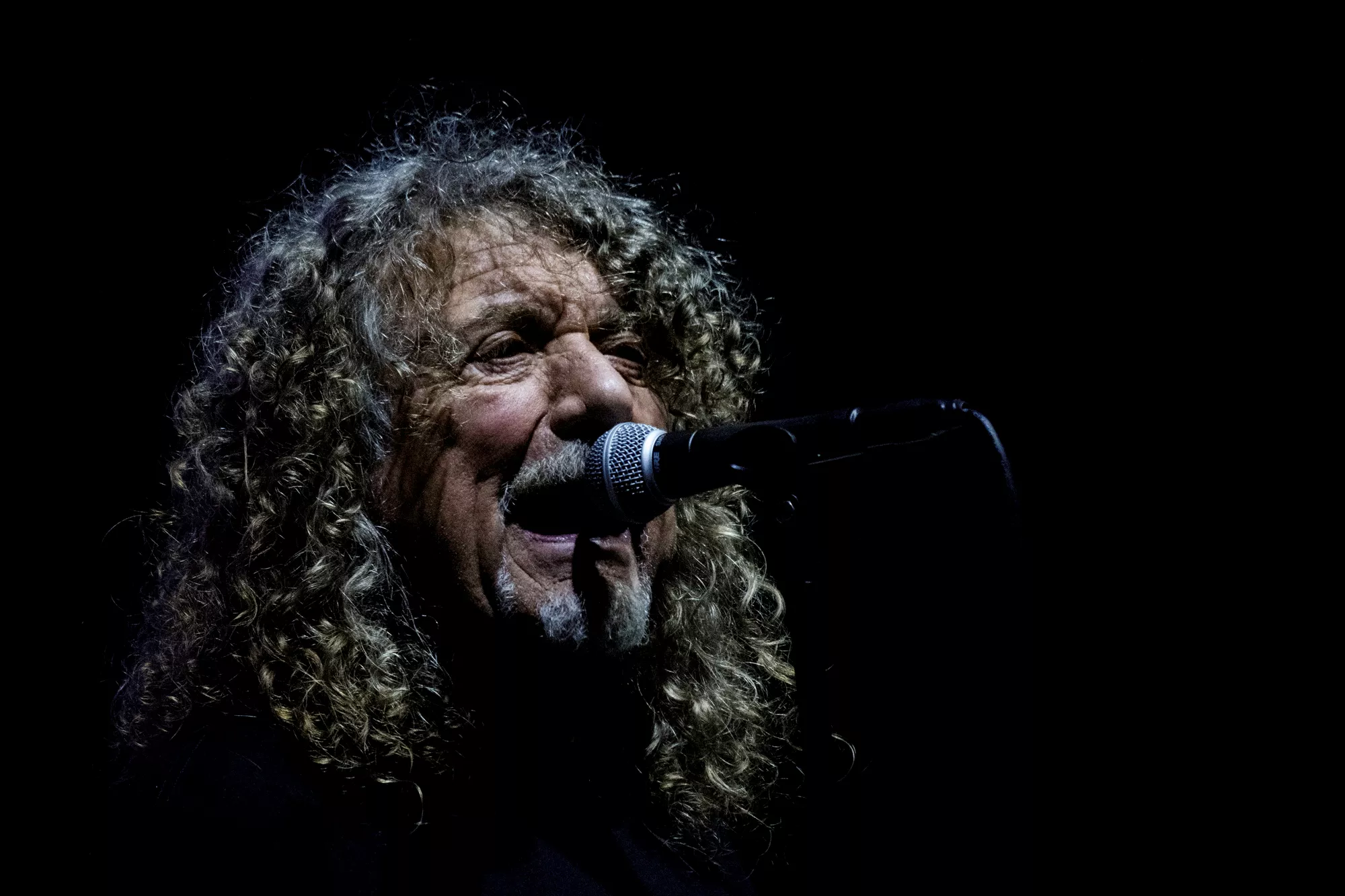 Roskilde Festival 2019 - Robert Plant & The Sensational Space Shifters