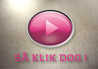 DMF København starter webkanal