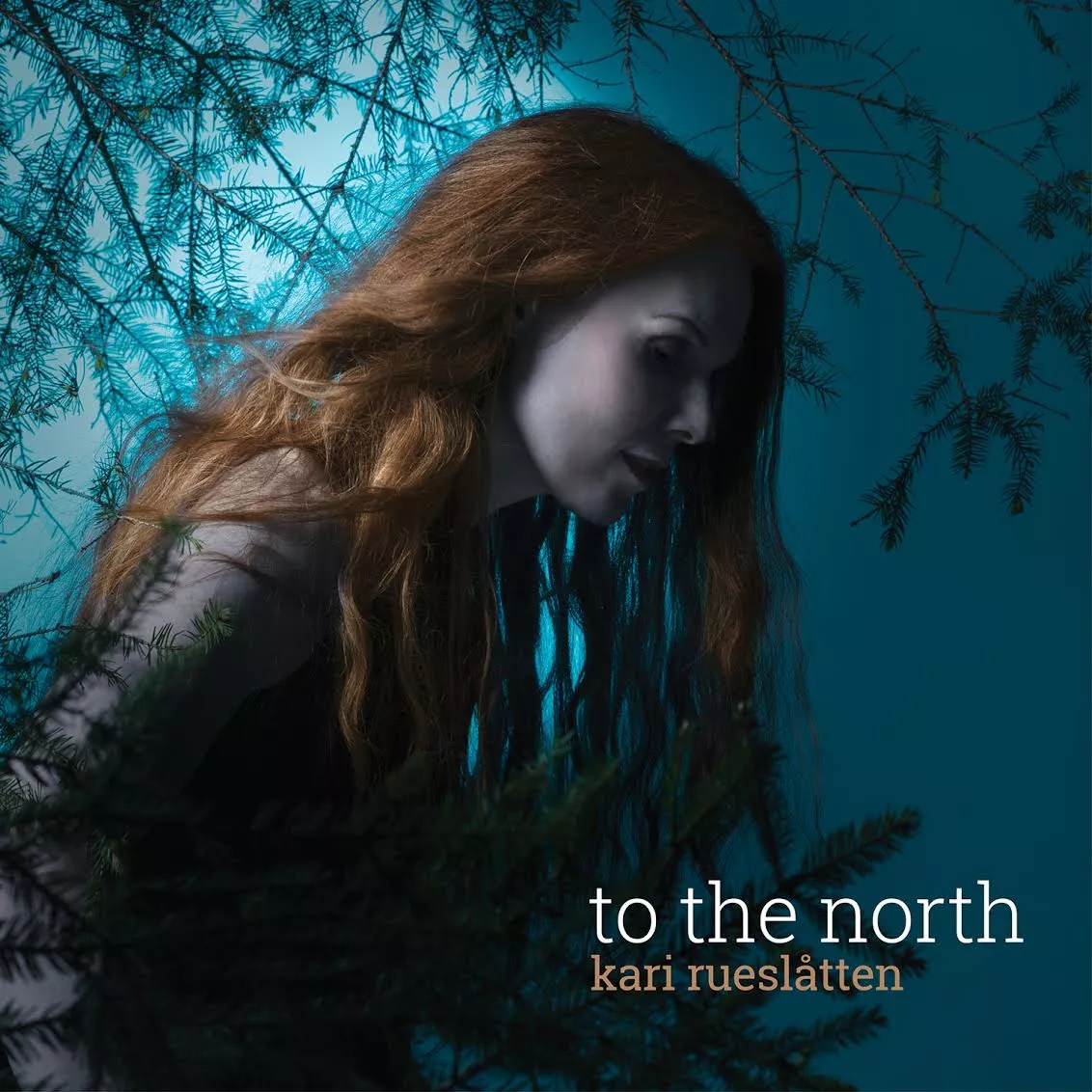 To The North - Kari Rueslåtten