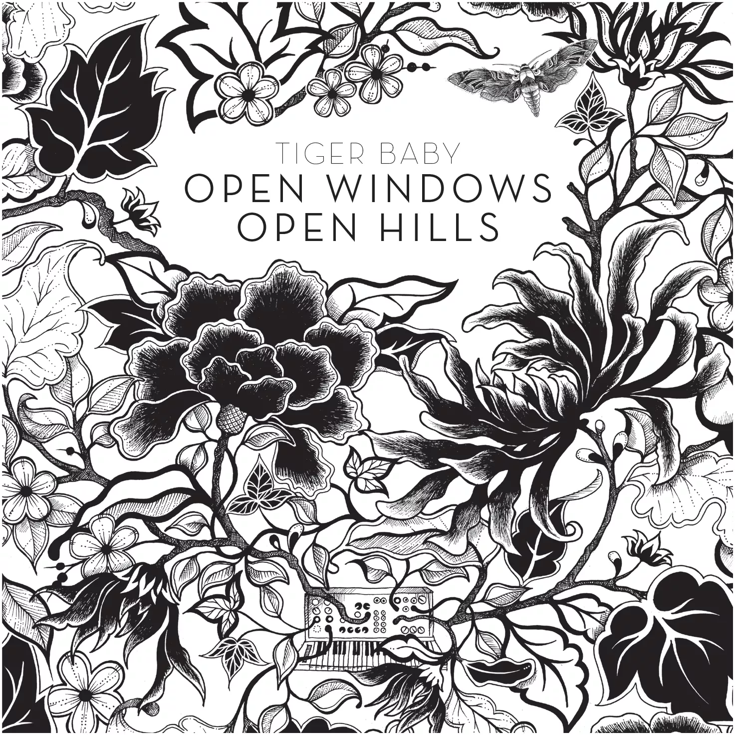 Open Windows Open Hills - Tiger Baby