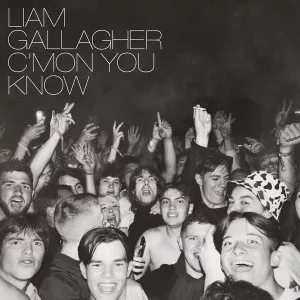 C'mon You Know - Liam Gallagher