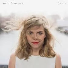 Fossils - Aoife O'Donovan