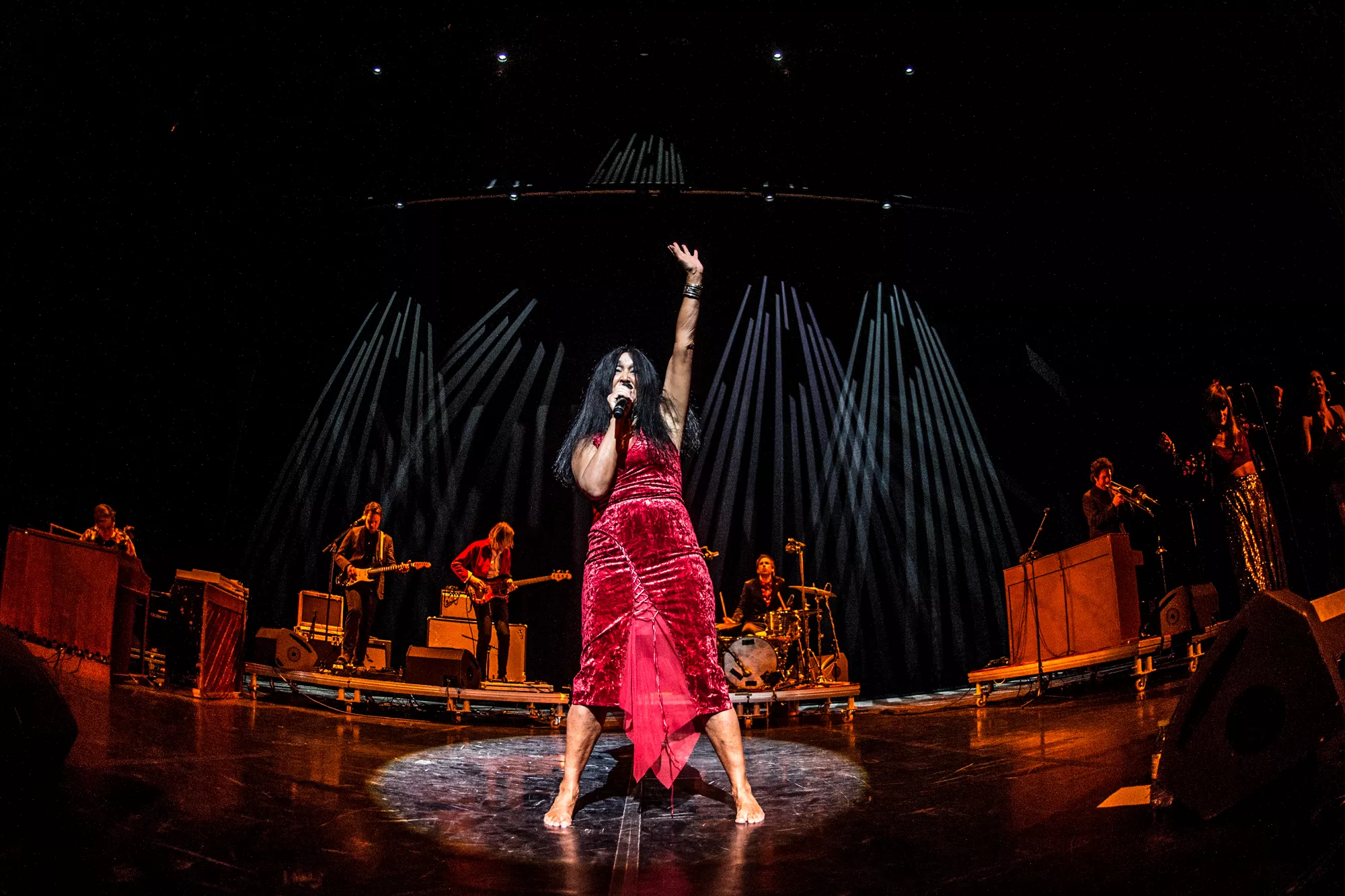 The Savage Rose fejrer 50 års-jubilæum med skandinavisk turné