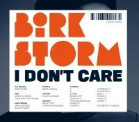 I Don't Care - Birk Storm