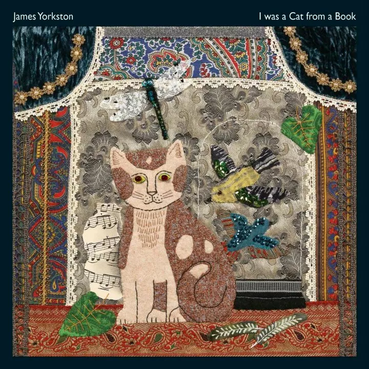 I Was A Cat From A Book - James Yorkston And The Athletes
