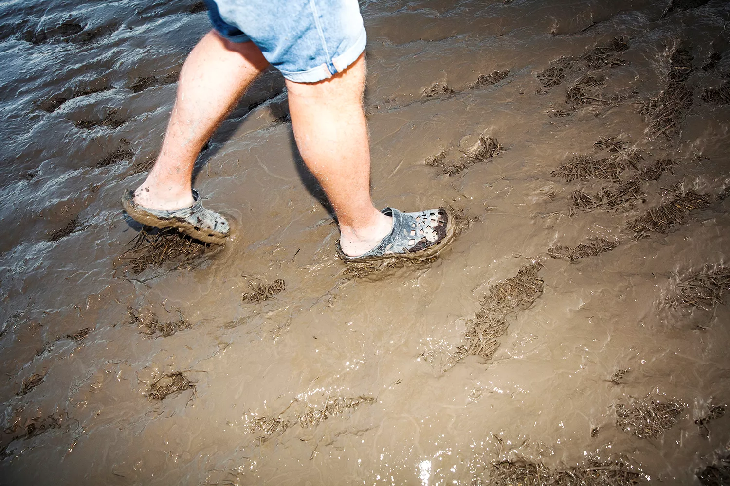 Se Roskilde Festivals mudderkort: Sådan undgår du en våd sovepose