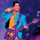 Prince-koncert bliver ikke til noget til sommer