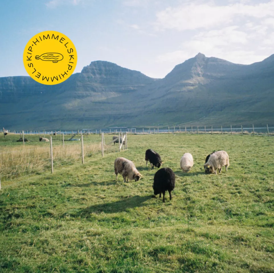 Den siste kvegdriver - Himmelskip