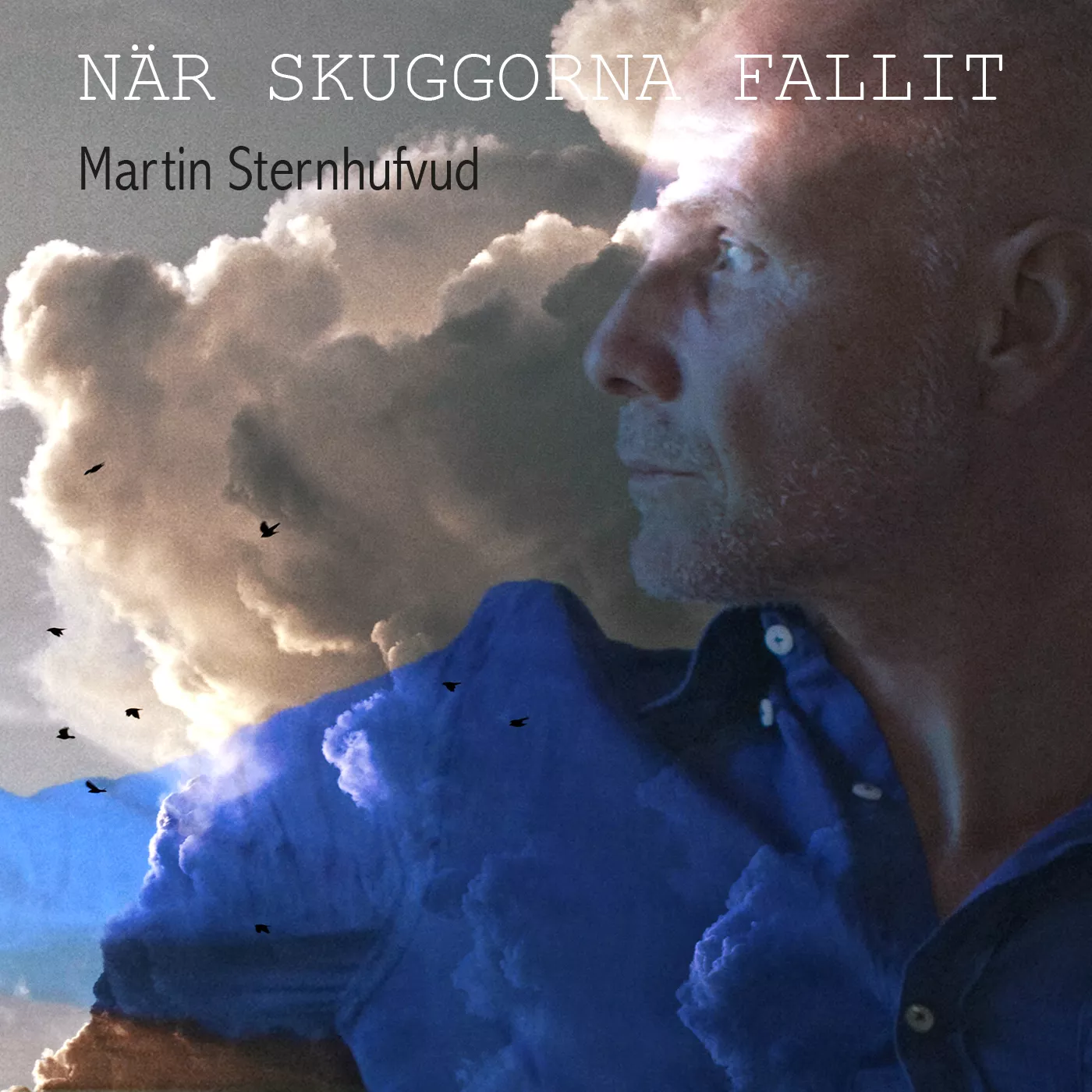 När Skuggorna Fallit - Martin Sternhufvud